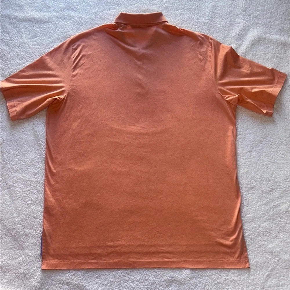 Polo Ralph Lauren this polo